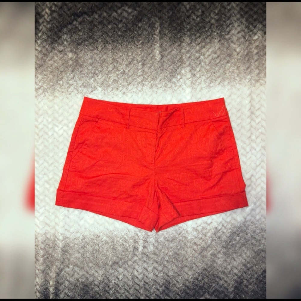 NY&Co Shorts